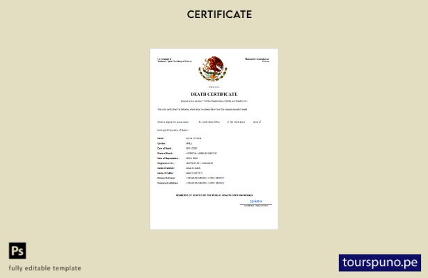 listo para imprimir certificado de defunción del registro civil de México Planti
